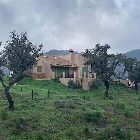 Alojamiento Rural En Aracena. Finca El Rehilete Buitenkant foto